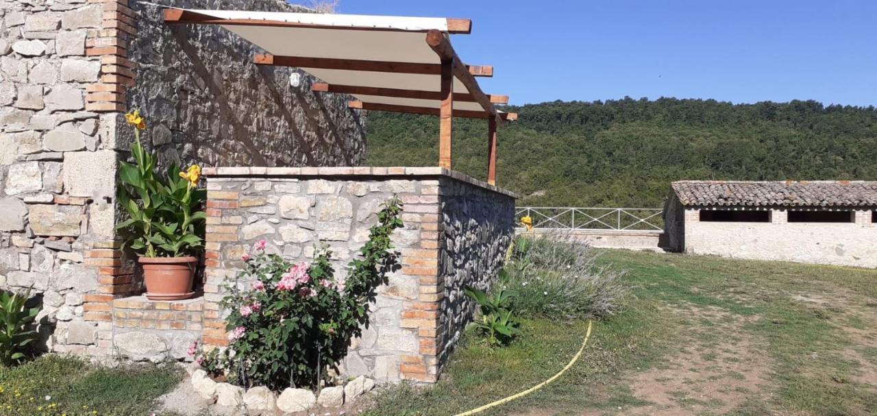 Casale Al Lago Con Piscina E Sauna Corbara  Extérieur photo