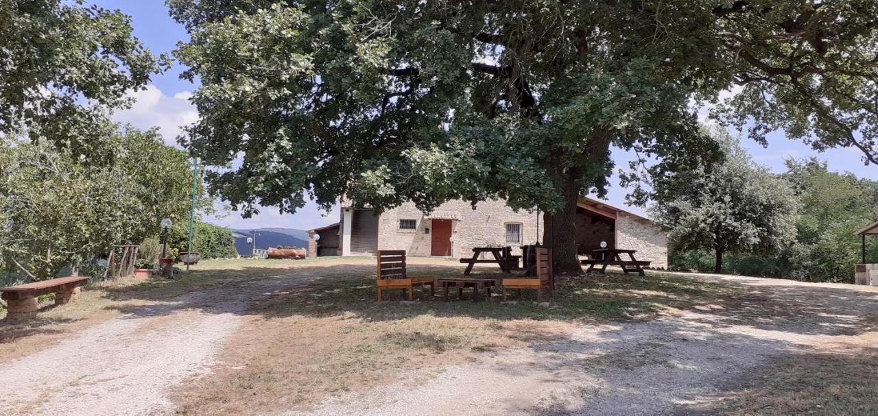 Casale Al Lago Con Piscina E Sauna Corbara  Extérieur photo