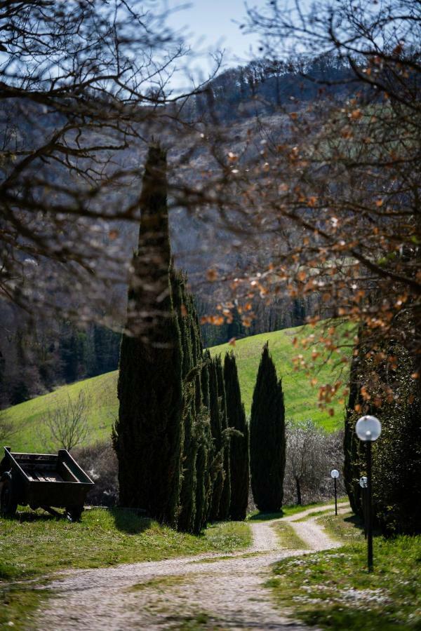 Casale Al Lago Con Piscina E Sauna Corbara  Extérieur photo