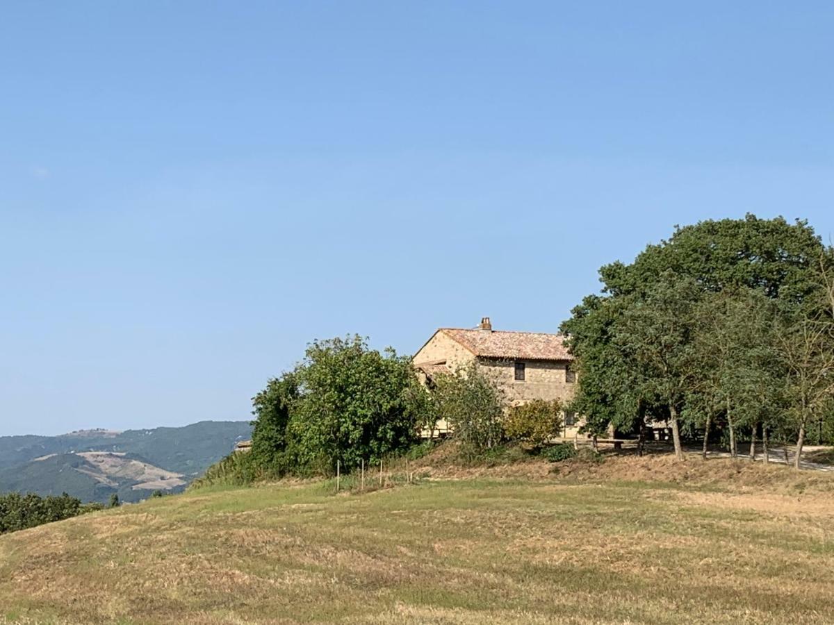 Casale Al Lago Con Piscina E Sauna Corbara  Extérieur photo
