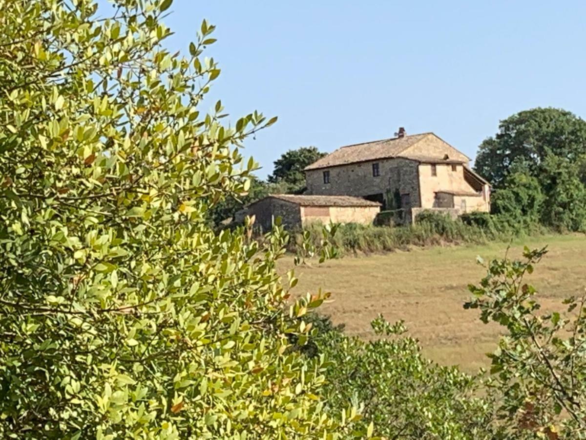 Casale Al Lago Con Piscina E Sauna Corbara  Extérieur photo