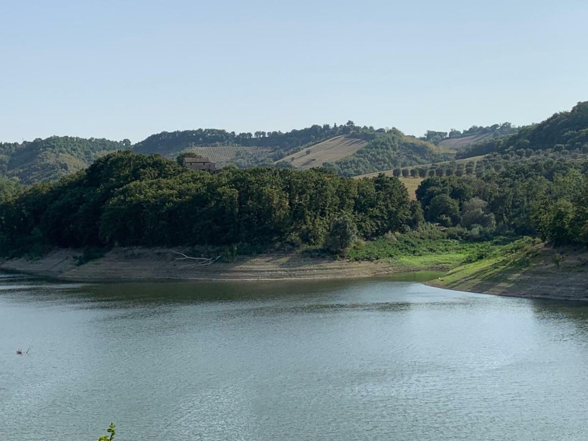Casale Al Lago Con Piscina E Sauna Corbara  Extérieur photo