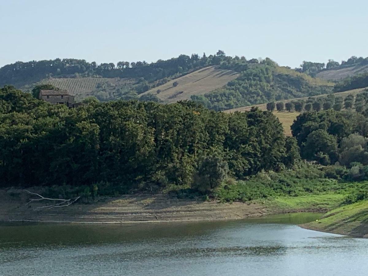 Casale Al Lago Con Piscina E Sauna Corbara  Extérieur photo